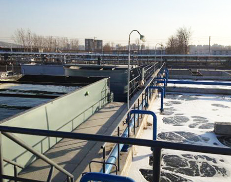 Ҭ������̿����