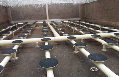 �ؚ����ɞ���ˮ̎���ИI�������ǣ����V�����á�